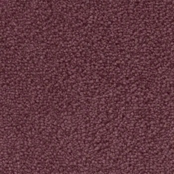 Draufsicht auf Vorwerk Mira 1P98